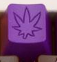 Sticky Kush Push Purple - Toast