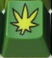 Green Thumb Green with Yellow Flower and Black Inlay - Toast
