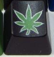 Depth Black with Green Flower and White Inlay - O'Natural