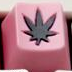 Octopink with Depth Black - Toast