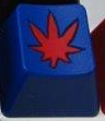 Blue with Red Flower - Toast