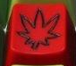 Revenge Red with Black Inlay - Toast