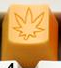 Orangesicle - Toast