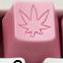 Octopink - Toast