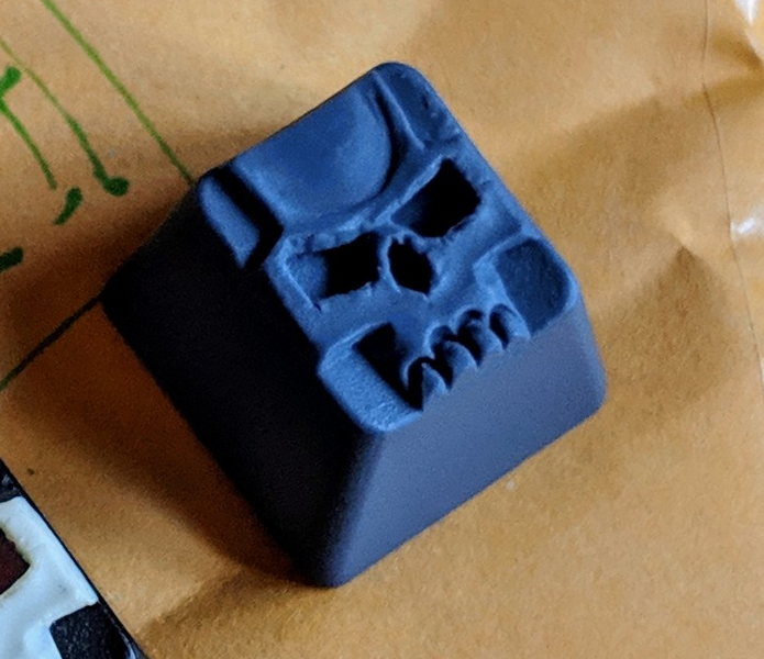 Sharkette (Dark)