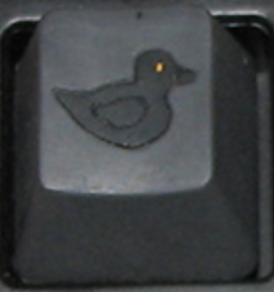 Dark Duck Quack