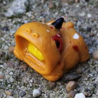 Infected Squash