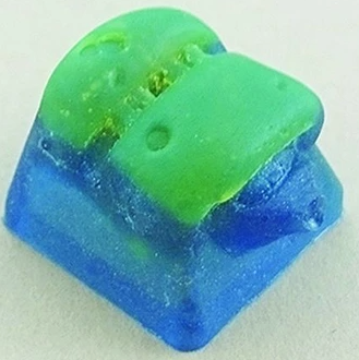 Green Algae
