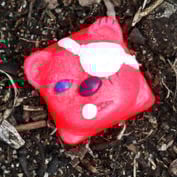 Pink Pox