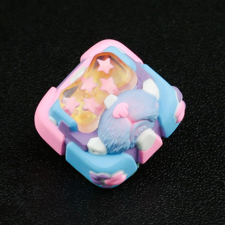 Procyon