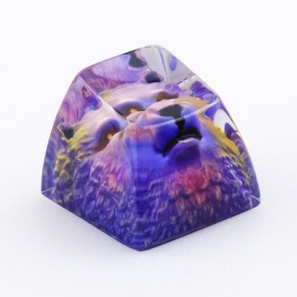 Galaxy Chimera