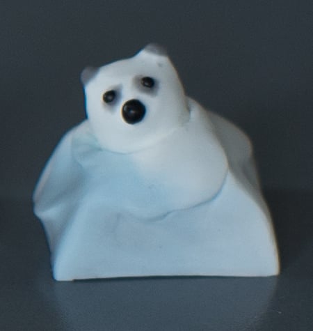Bare Bear