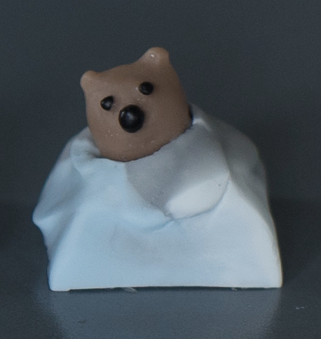 Grizz South Pole