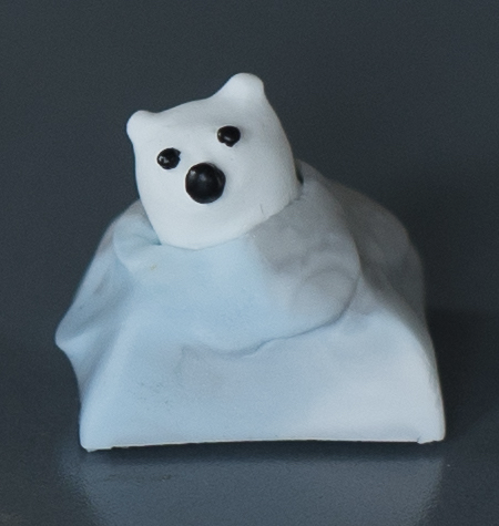 Ice Bear South Pole