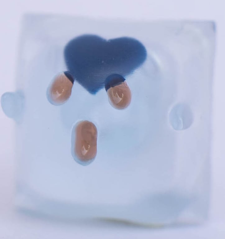 Cold Hearted Bitch