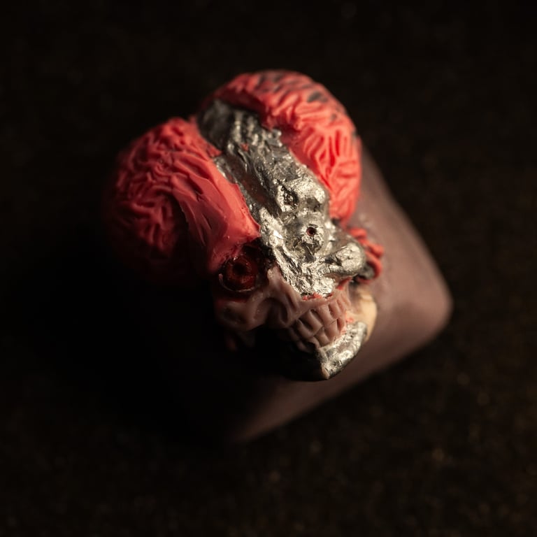 T800 (1 of 1)