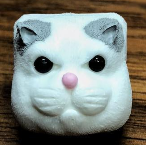Cat-Dog-Hamster
