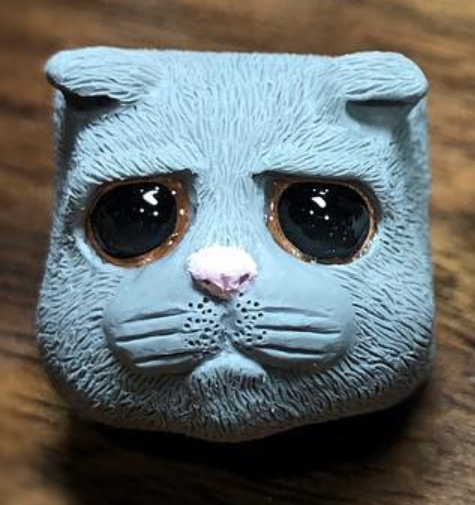 Sad Cat