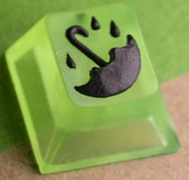 Ecto