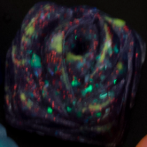 Space Garbage