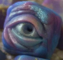 RoseArt