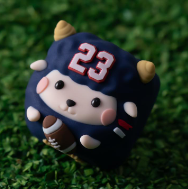 116. Football Teammate