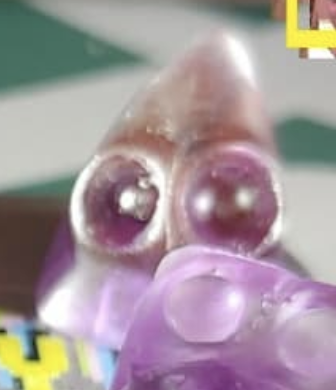 Glass Monkey