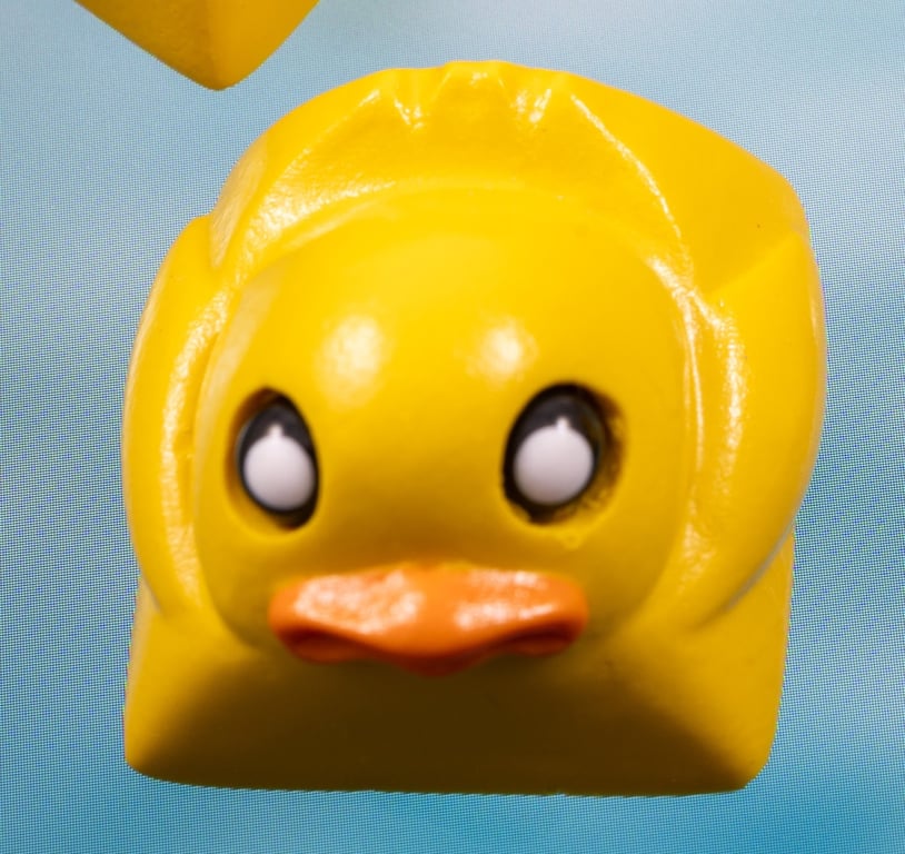Rubber Ducky (Inverted)