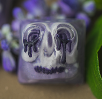 Lavendula