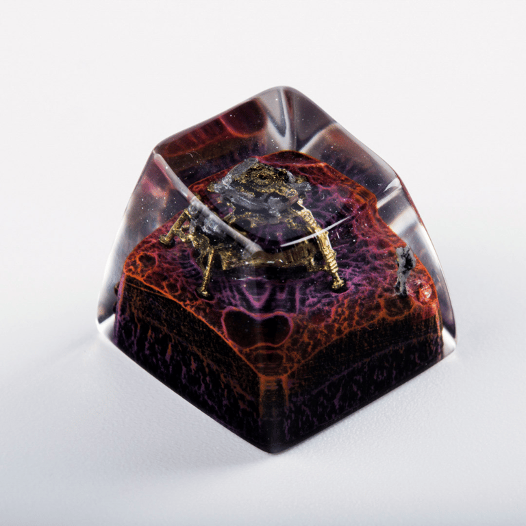 SA Venus
