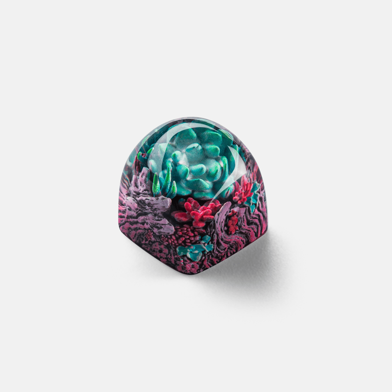 DOM Enigma Bloom