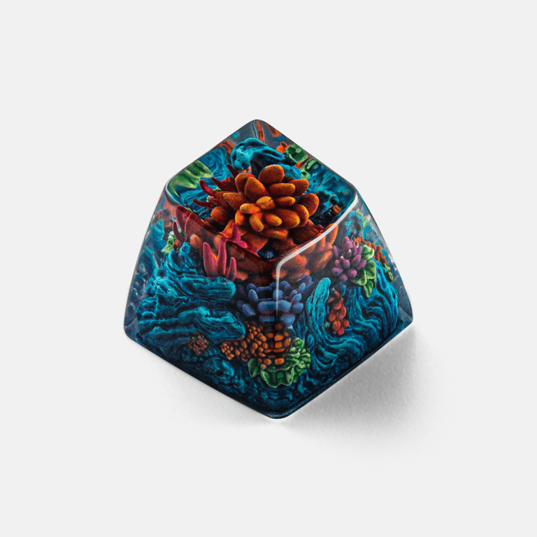 SA Atlantic Heart