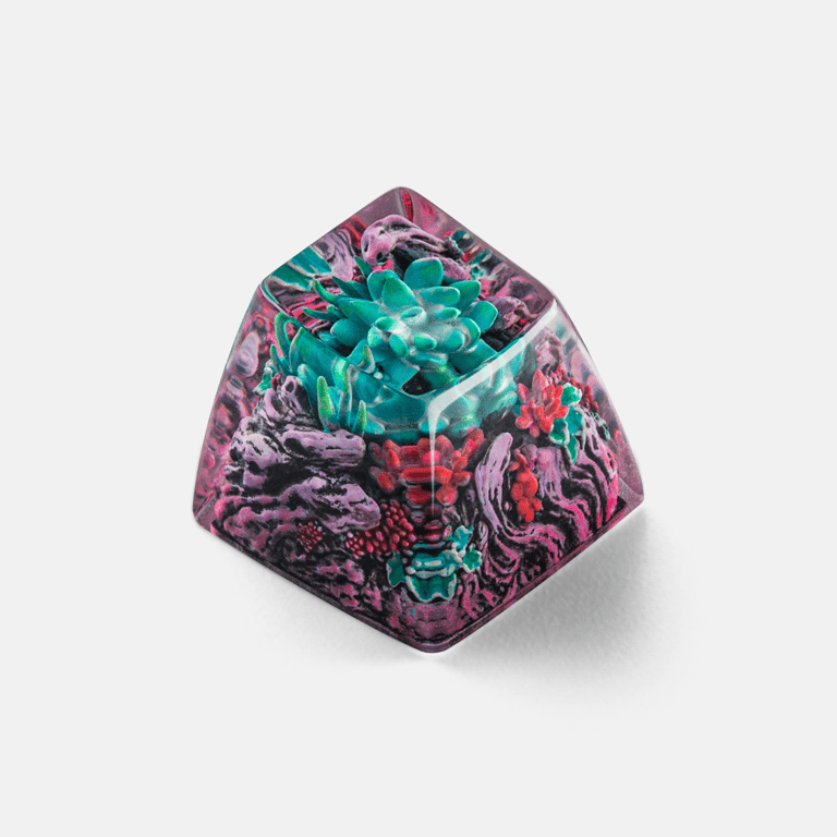 SA Enigma Bloom
