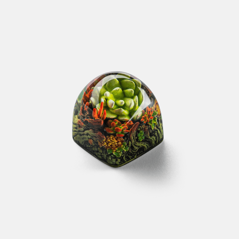 DOM Verdant Realm