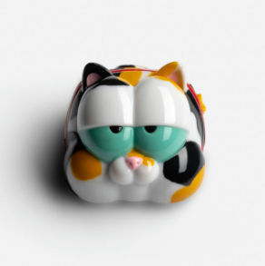 Tabby Cat