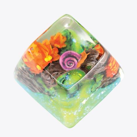 SA Occulus