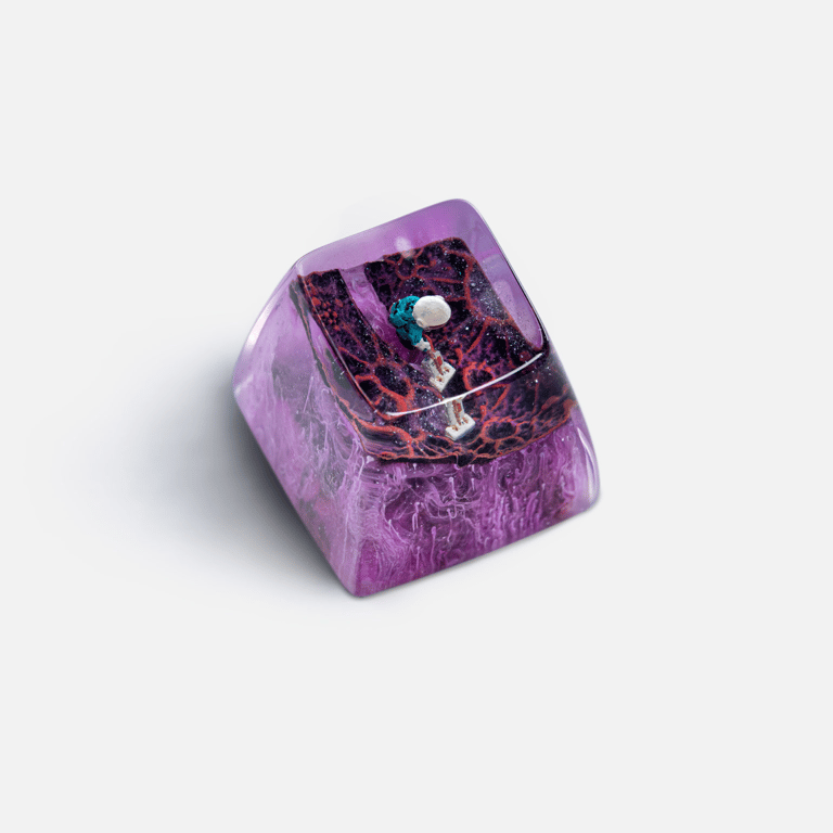 SA Lucid