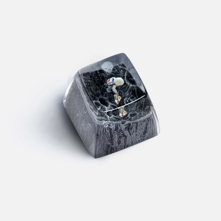 SA R1 Luna