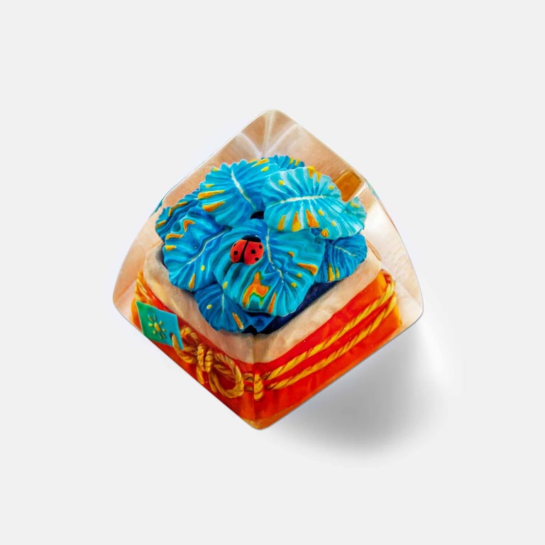 SA Fairy Vieria