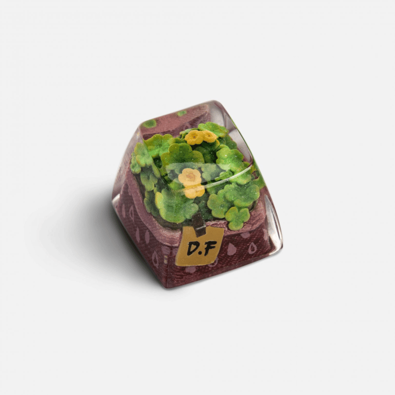 SA Fortune Clover