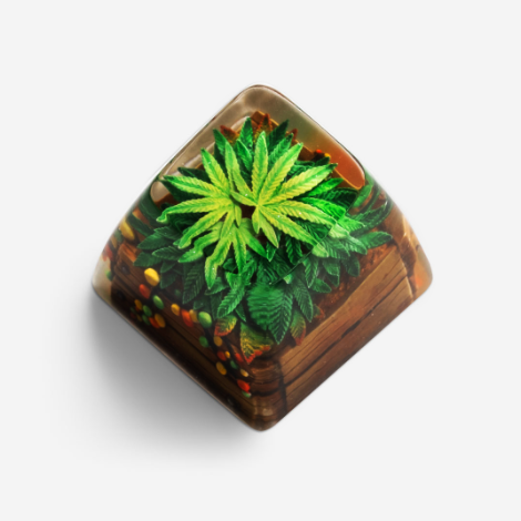 Terrarium V2 Rasta Jardin