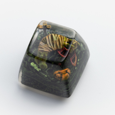 SA Murray