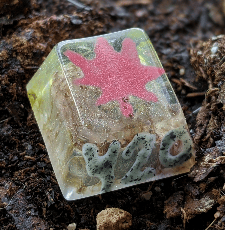 Scooby Snack