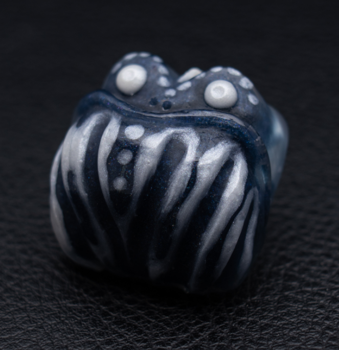 Salty Seafarer
