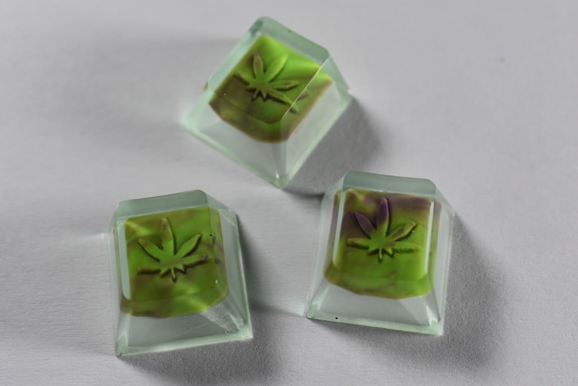 Momma Im Greenin Out