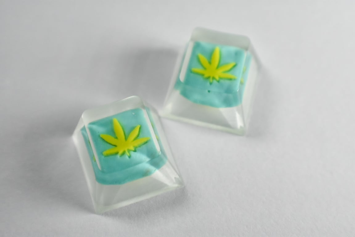 Sponge OG