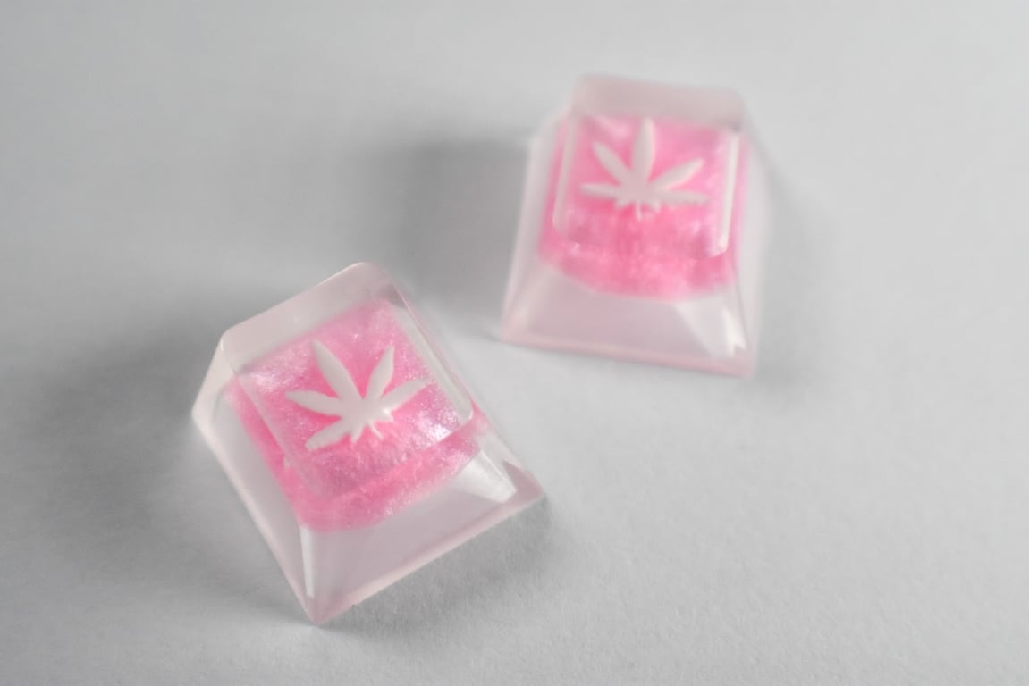 Blossom