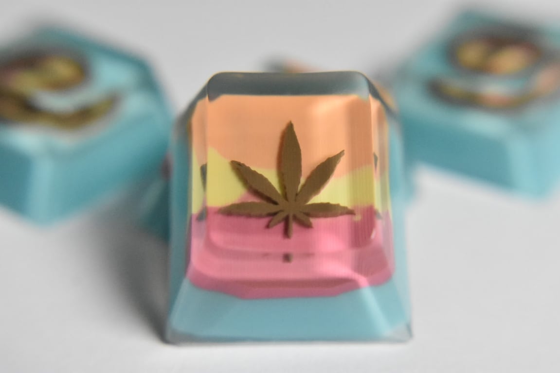 Sunrise Rips