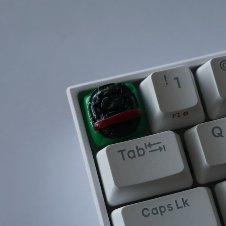 RAPHAEL