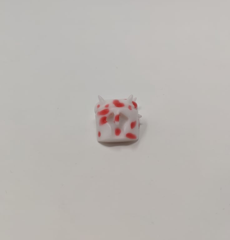 Rashy Boi
